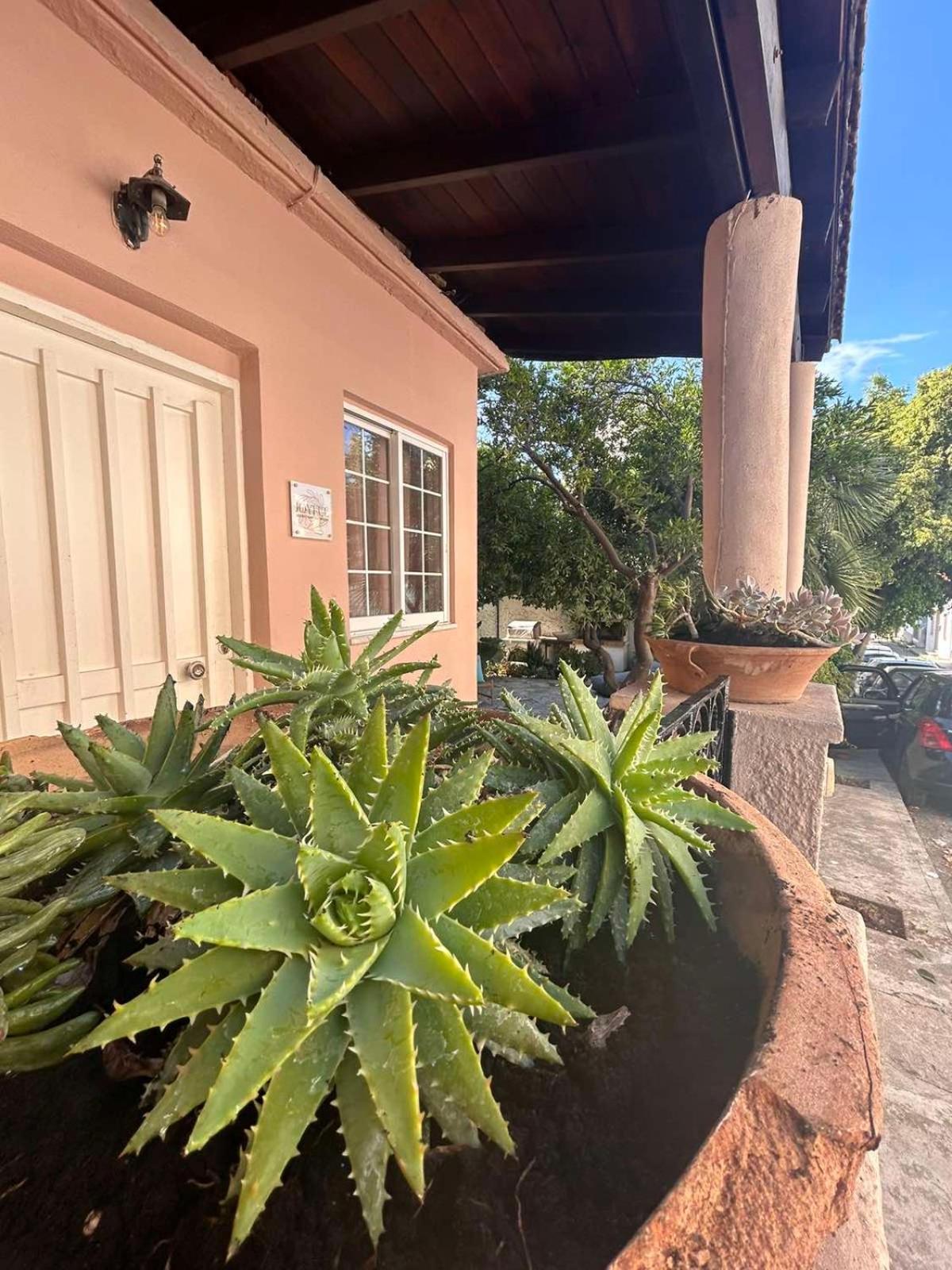 Case de vacanță Joyful Secret Garden House Chania (Crete)